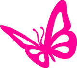 Mariposa grande